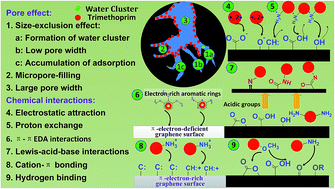 Graphical abstract: Effect on physical and chemical characteristics of activated carbon on adsorption of trimethoprim: mechanisms study