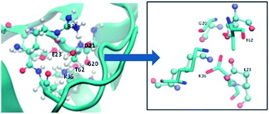 Graphical abstract: Constant pH molecular dynamics study on the doubly mutated staphylococcal nuclease: capturing the microenvironment