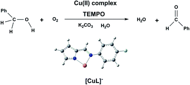 Graphical abstract: Mechanistic insight into the aerobic oxidation of benzyl alcohol catalyzed by the CuII–TEMPO catalyst in alkaline water solution