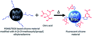 Graphical abstract: Fluorescent citric acid-modified silicone materials