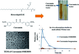 Graphical abstract: Self-microemulsifying drug delivery system of curcumin with enhanced solubility and bioavailability using a new semi-synthetic bicephalous heterolipid: in vitro and in vivo evaluation