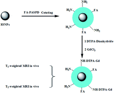 Graphical abstract: T1-weighted and T2-weighted MRI probe based on Gd-DTPA surface conjugated SPIO nanomicelles