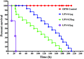 Graphical abstract: Lipopolysaccharide of Klebsiella pneumoniae attenuates immunity of Caenorhabditis elegans and evades by altering its supramolecular structure