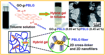 Graphical abstract: Covalent modification of graphene as a 2D nanofiller for enhanced mechanical performance of poly(glutamate) hybrid gels