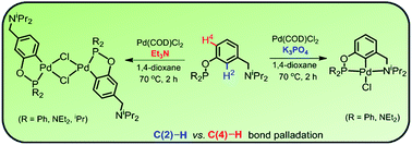 Graphical abstract: Mono- and binuclear palladacycles via regioselective C–H bond activation: syntheses, mechanistic insights and catalytic activity in direct arylation of azoles