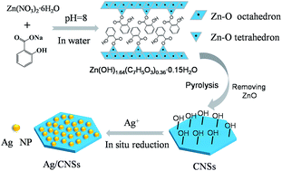 Graphical abstract: Hydroxyl-rich nanoporous carbon nanosheets synthesized by a one-pot method and their application in the in situ preparation of well-dispersed Ag nanoparticles