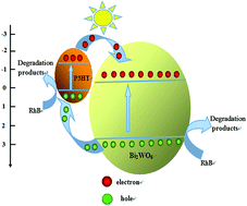 Graphical abstract: Enhancing the charge separation and migration efficiency of Bi2WO6 by hybridizing the P3HT conducting polymer