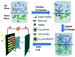 Graphical abstract: New insights into the phosphine-free synthesis of ultrasmall Cu2−xSe nanocrystals at the liquid–liquid interface