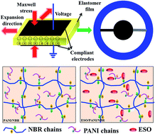 Graphical abstract: All-organic non-percolative dielectric composites with enhanced electromechanical actuating performances by controlling molecular interaction