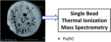 Graphical abstract: Superparamagnetic bi-functional composite bead for the thermal ionization mass spectrometry of plutonium(iv) ions