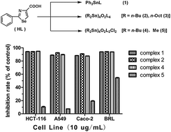 Graphical abstract: Study of the effect of molecular structure and alkyl groups bound with tin(iv) on their cytotoxicity of organotin(iv) 2-phenyl-4-selenazole carboxylates