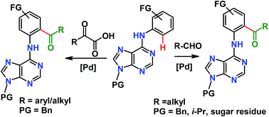 Graphical abstract: Palladium-catalysed ortho-acylation of 6-anilinopurines/purine nucleosides via C–H activation