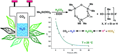 Graphical abstract: A biphase H2O/CO2 system as a versatile reaction medium for organic synthesis