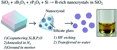 Graphical abstract: Growth of novel boron-rich nanocrystals from oxygen-deficient borophosphosilicate glasses for boron neutron capture therapy