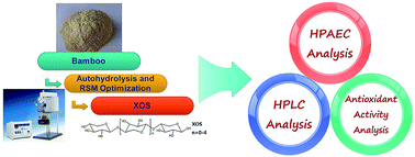 Graphical abstract: Optimization of bamboo autohydrolysis for the production of xylo-oligosaccharides using response surface methodology