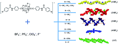 Graphical abstract: Assembly of BF4−, PF6−, ClO4− and F− with trinuclear copper(i) acetylide complexes bearing amide groups: structural diversity, photophysics and anion binding properties
