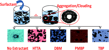 Graphical abstract: Extractant mediated nano-aggregate formation in Triton X-114 aided cloud formation: structural insights from TEM and SANS studies