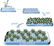 Graphical abstract: Growth of branched gold nanoparticles on solid surfaces and their use as surface-enhanced Raman scattering substrates