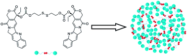 Graphical abstract: Small molecular nanomedicines made from a camptothecin dimer containing a disulfide bond