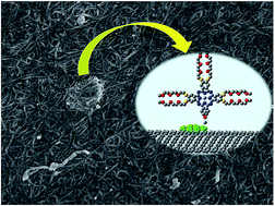 Graphical abstract: Hybrid materials of pyrene substituted phthalocyanines with single-walled carbon nanotubes: structure and sensing properties