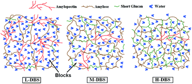 Graphical abstract: Preparation and characterization of pullulanase debranched starches and their properties for drug controlled-release