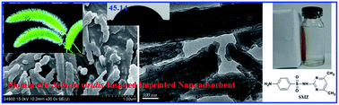 Graphical abstract: A biomimetic Setaria viridis-inspired imprinted nanoadsorbent: green synthesis and application to the highly selective and fast removal of sulfamethazine