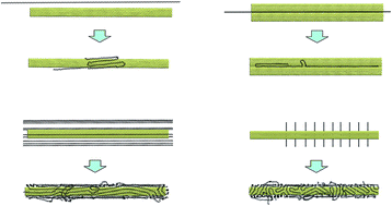 Graphical abstract: Molecular dynamics studies of interfacial crystallization behaviors in polyethylene/carbon nanotube composites