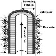 Graphical abstract: Characterization of fouling layers for in-line coagulation membrane fouling by apparent zeta potential