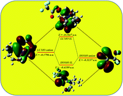 Graphical abstract: Elucidation of molecular interactions between a DBU based protic ionic liquid and organic solvents: thermophysical and computational studies