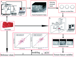 Graphical abstract: Non-destructively sensing pork quality using near infrared multispectral imaging technique