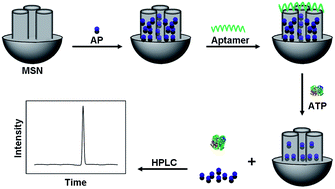 Graphical abstract: A novel label-free aptasensor based on target-induced structure switching of aptamer-functionalized mesoporous silica nanoparticles