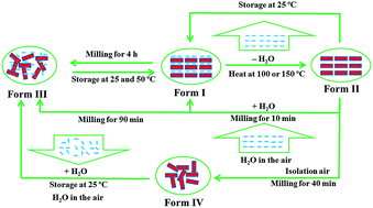 Graphical abstract: Four solid forms of tauroursodeoxycholic acid and solid-state transformations: effects of temperature and milling