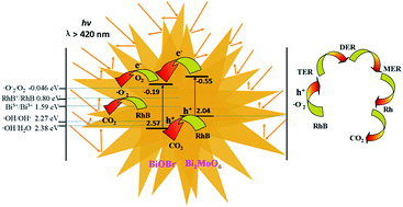 Graphical abstract: BiOBr/Bi2MoO6 composite in flower-like microspheres with enhanced photocatalytic activity under visible-light irradiation