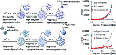 Graphical abstract: Effect of the matrix modification technique (MMT) on the composition, microstructure, morphology, interfacial interaction and mechanical properties of polypropylene reactor alloys