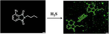 Graphical abstract: A selective and sensitive phthalimide-based fluorescent probe for hydrogen sulfide with a large Stokes shift