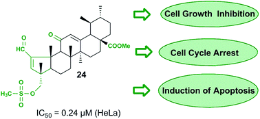 Graphical abstract: Synthesis and biological evaluation of novel asiatic acid derivatives with anticancer activity