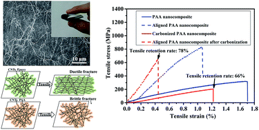 Graphical abstract: Strong, flexible and thermal-resistant CNT/polyarylacetylene nanocomposite films