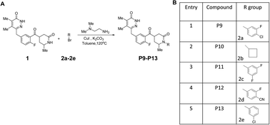 Graphical abstract: Novel PARP inhibitors sensitize human leukemic cells in an endogenous PARP activity dependent manner