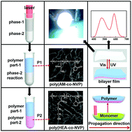 Graphical abstract: In situ access to fluorescent dual-component polymers towards optoelectronic devices via inhomogeneous biphase frontal polymerization