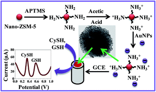 Graphical abstract: A novel gold nanoparticle decorated nanocrystalline zeolite based electrochemical sensor for the nanomolar simultaneous detection of cysteine and glutathione