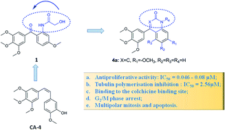Graphical abstract: Synthesis, biological evaluation and mechanism study of a class of cyclic combretastatin A-4 analogues as novel antitumour agents