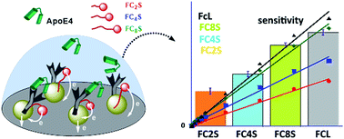 Graphical abstract: Induced conformational change on ferrocenyl-terminated alkyls and their application as transducers for label-free immunosensing of Alzheimer's disease biomarker