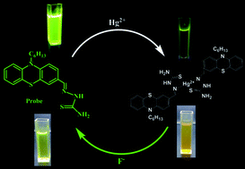 Graphical abstract: Phenothiazine based sensor for naked-eye detection and bioimaging of Hg(ii) and F− ions