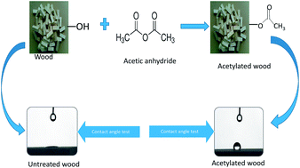 Graphical abstract: Morphological and interfacial properties of chemically-modified tropical hardwood