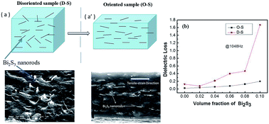 Graphical abstract: Bi2S3/poly(vinylidene fluoride) composite with high dielectric constant and unusual low dielectric loss based on preferentially oriented fillers