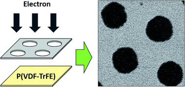 Graphical abstract: Degradation and nano-patterning of ferroelectric P(VDF-TrFE) thin films with electron irradiation