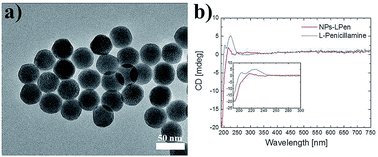 Graphical abstract: Surface functionalization of up-converting NaYF4 nanocrystals with chiral molecules