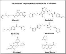 Graphical abstract: Discovery of new scaffolds from approved drugs as acetylcholinesterase inhibitors