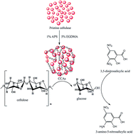 Graphical abstract: Cellulase stabilization by crosslinking with ethylene glycol dimethacrylate and evaluation of its activity including in a water–ionic liquid mixture