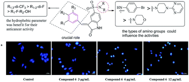 Graphical abstract: Synthesis and biological evaluation of novel fluorinated anticancer agents incorporating the indolin-2-one moiety